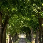 Ferrassou - Château Et Ferme Penne-dʼAgenais