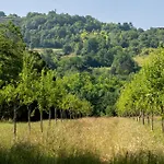 Villa Ferrassou - Château Et Ferme *