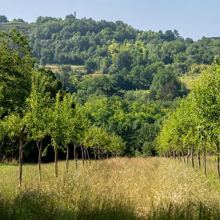 Villa Ferrassou - Chateau Et Ferme *
