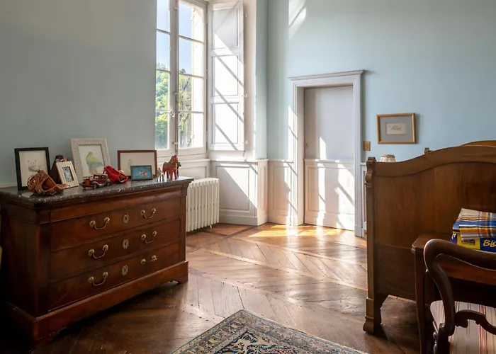 Ferrassou - Chateau Et Ferme Willa *