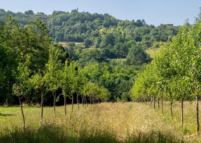 Willa Ferrassou - Chateau Et Ferme *